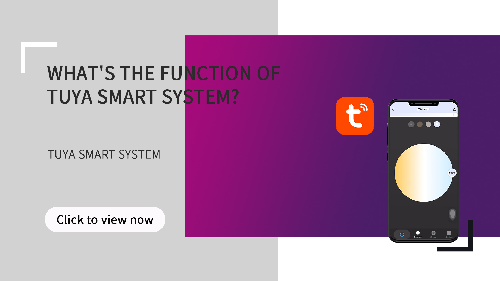 Какова функция Tuya Smart System?